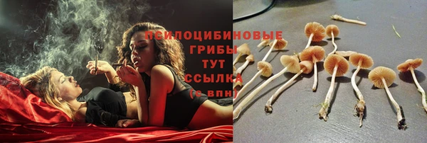 бошки Алексеевка