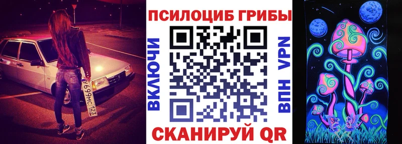 Галлюциногенные грибы Psilocybe  Нижний Новгород 